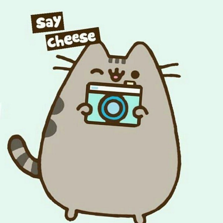 Пушин Кэт с фотоаппаратом