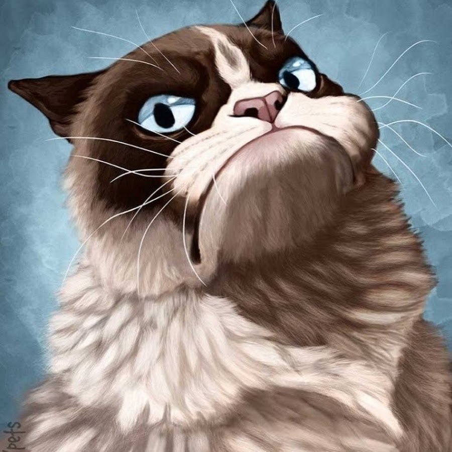 Смешной кот арт