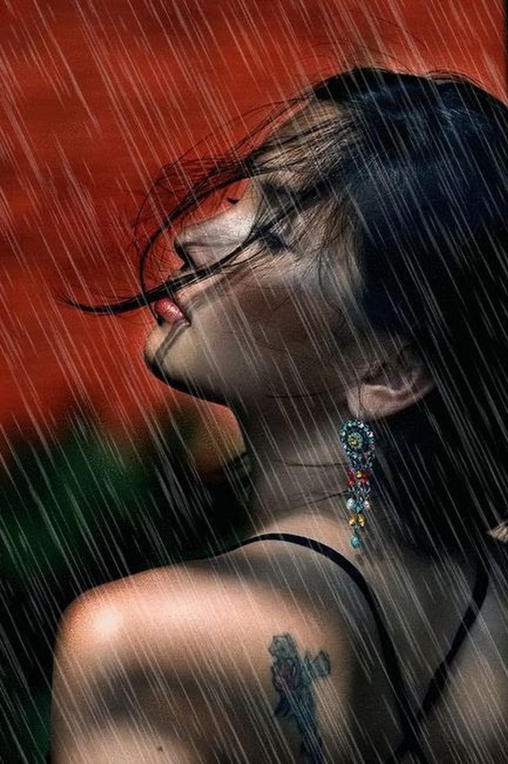 Милые рисунки животных