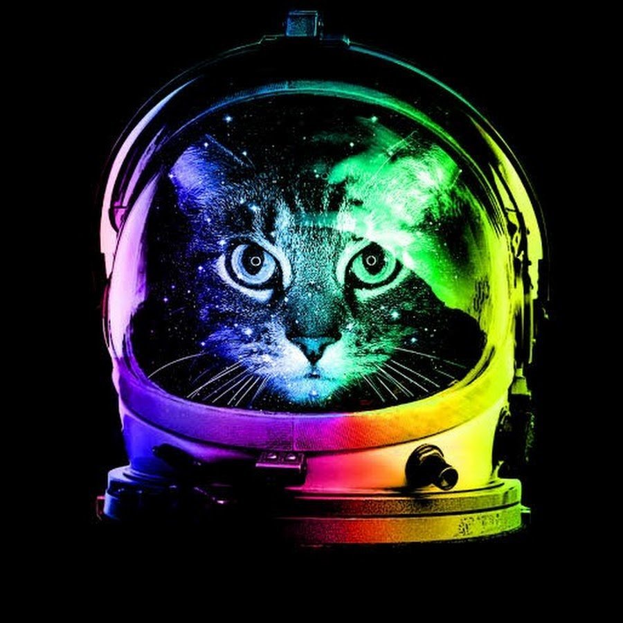 Бизон Космокот