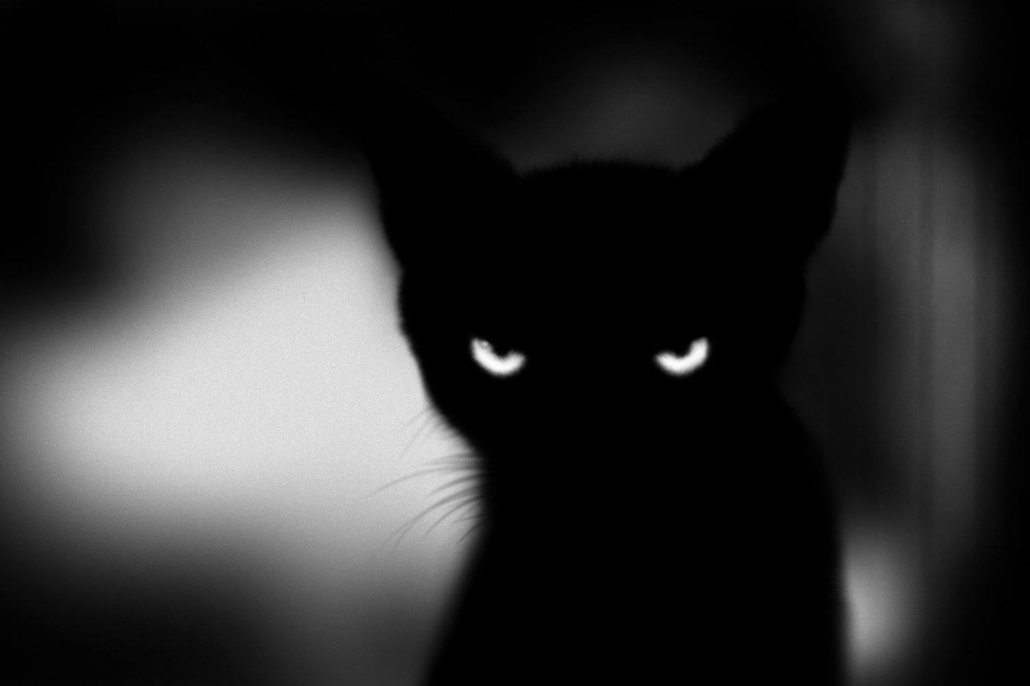 Темные аватарки. Страшный черный кот. Страшная черная кошка. Черный кот на аву. Страшный кот черно белый.