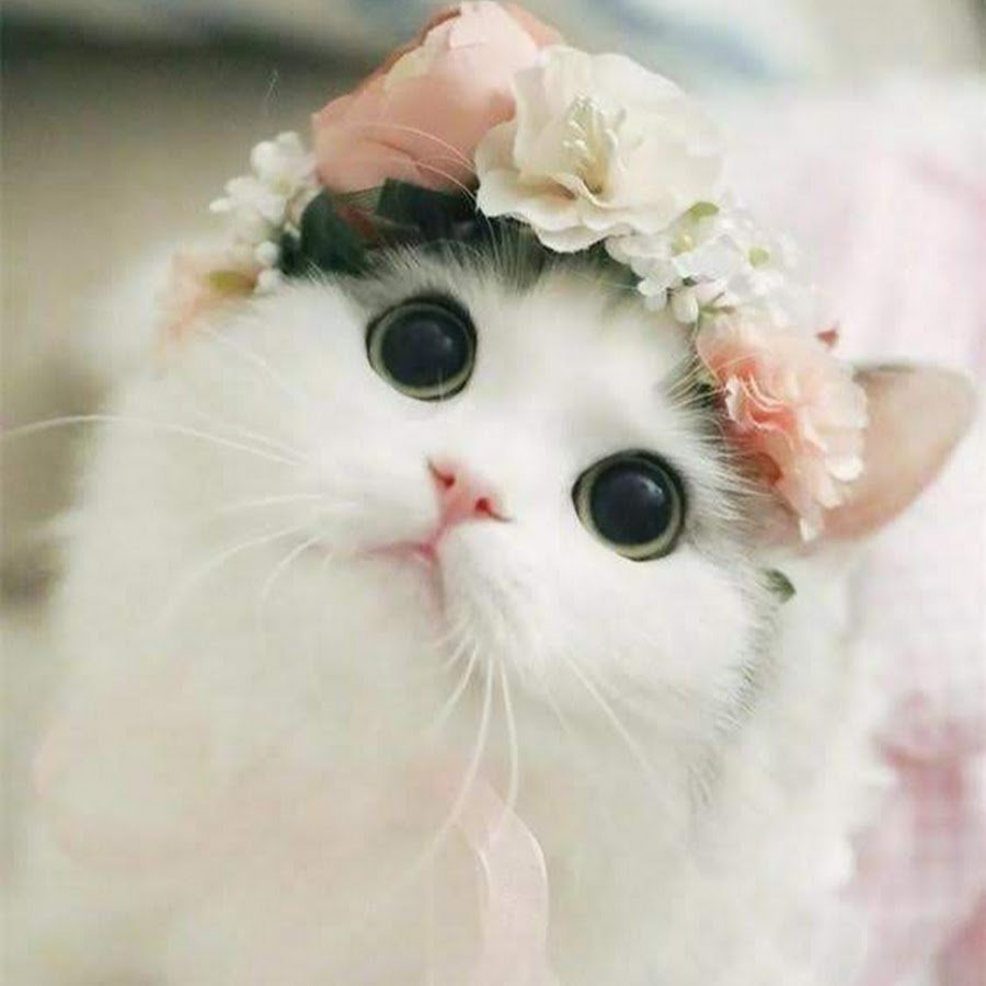 Рихардс Донскис