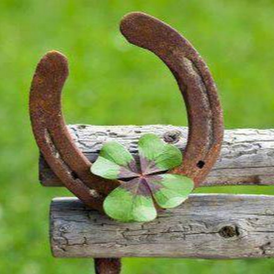 Руна Феху обои