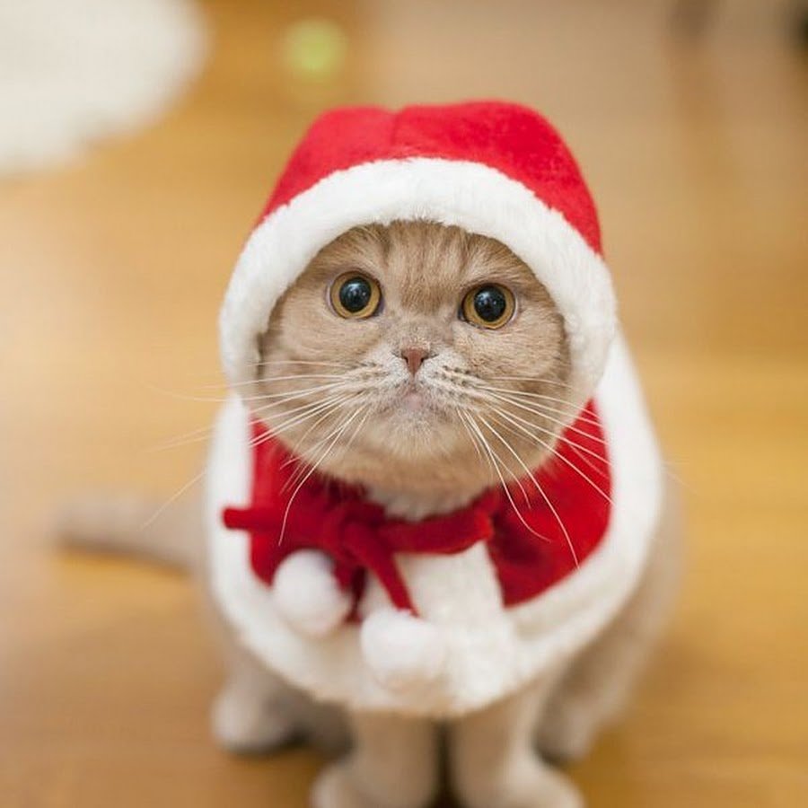 Новогодний Снеговик