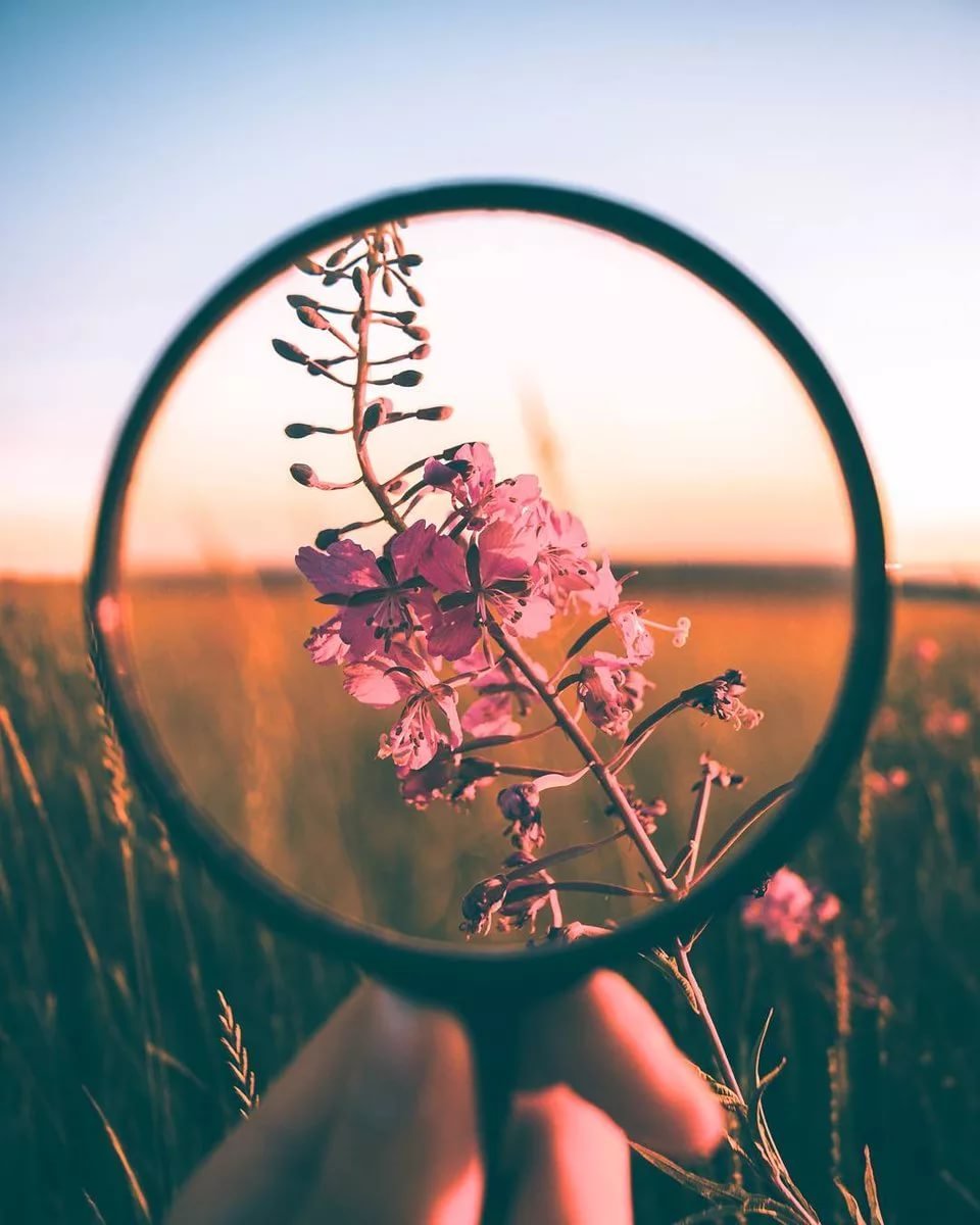 Эстетика грусти