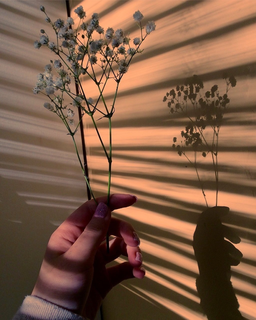 Аниме девушки Эстетика