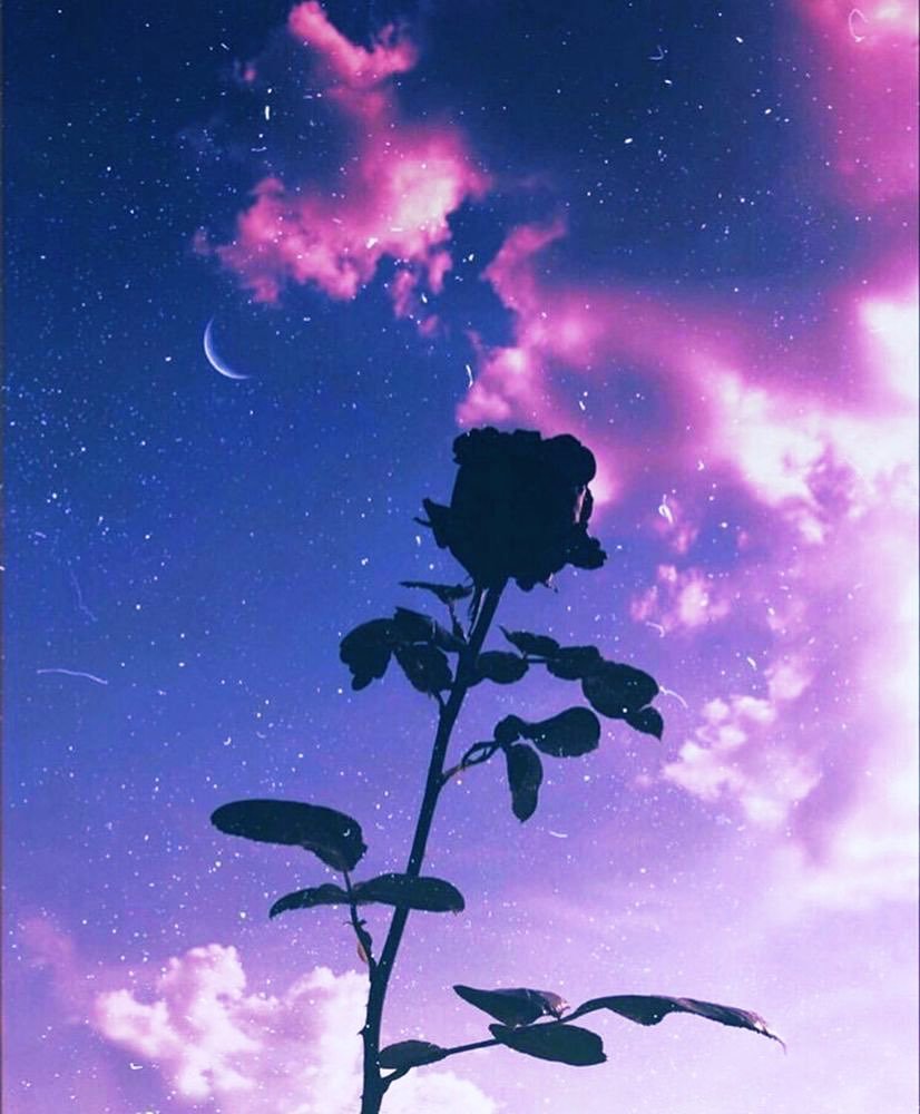 Интересные арты