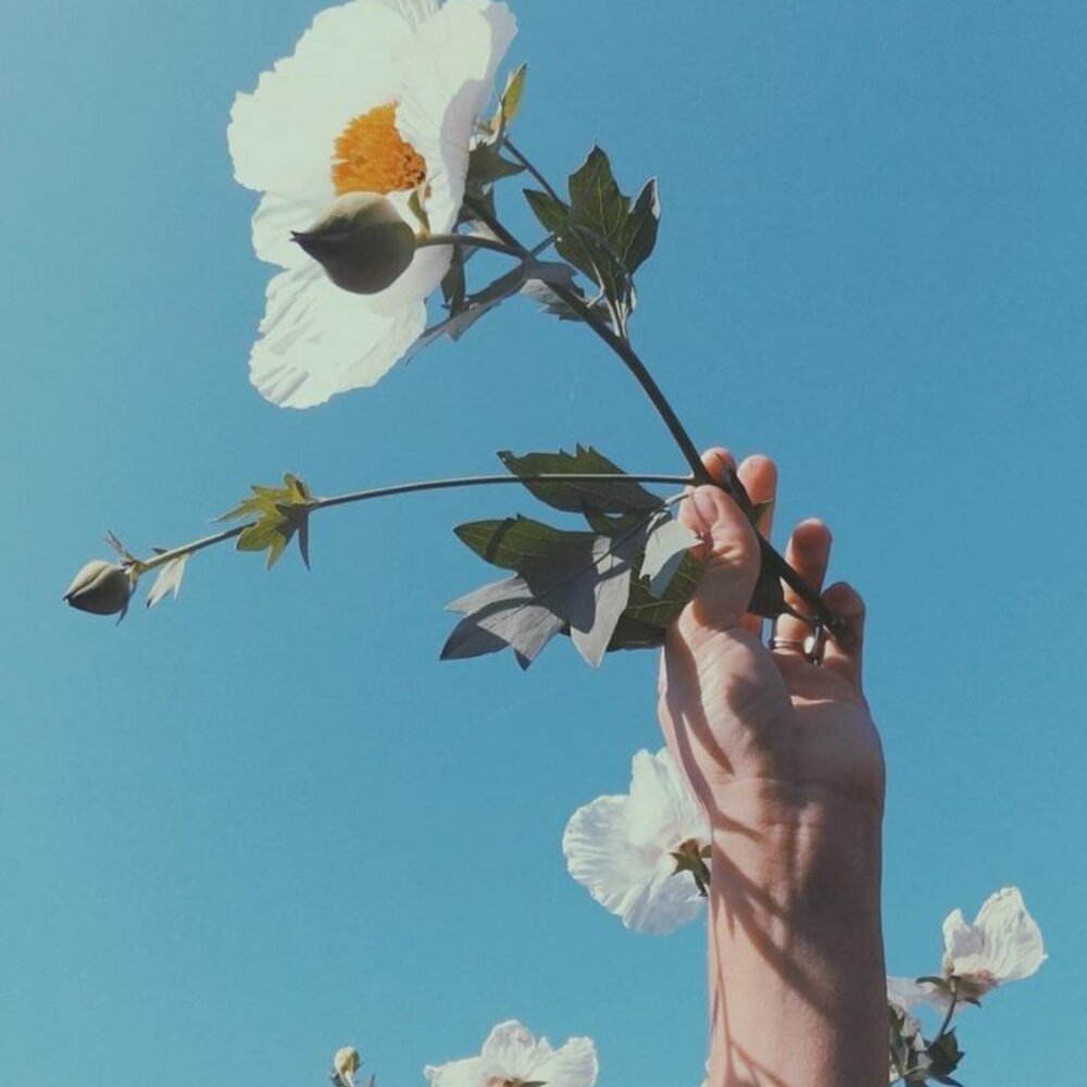 Эстетические плакаты