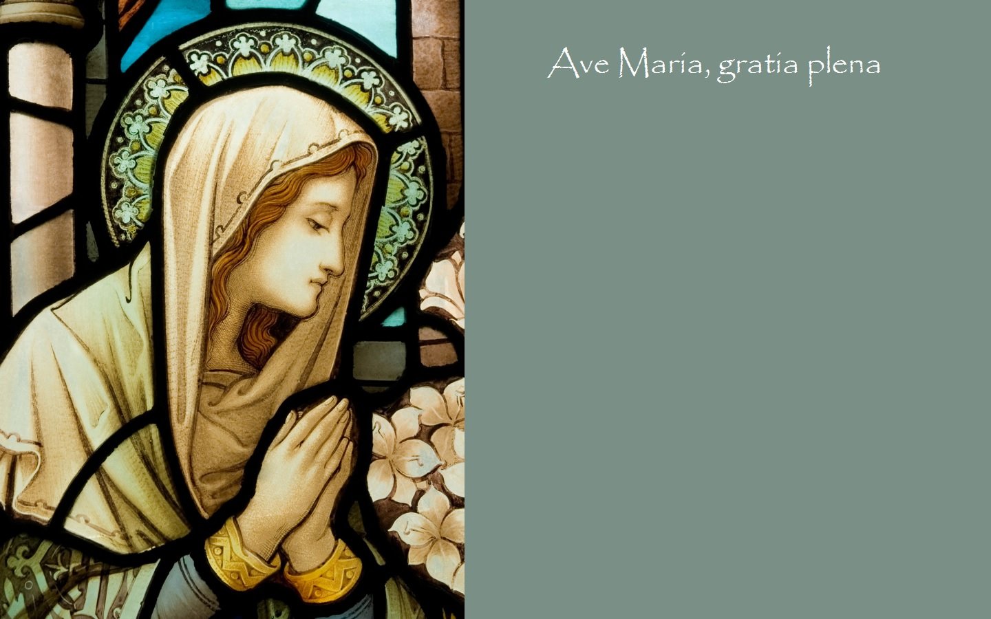 Maria gratia. Ave Maria Gratia Plena. Ave Maria Ave Gratia Plena.