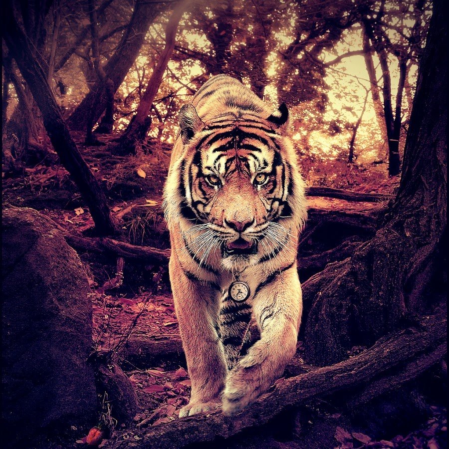 Аватар тигра