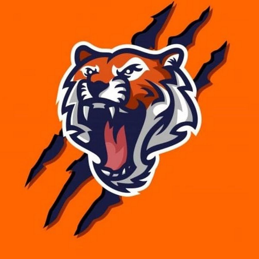 Аватарка тигр с оружием