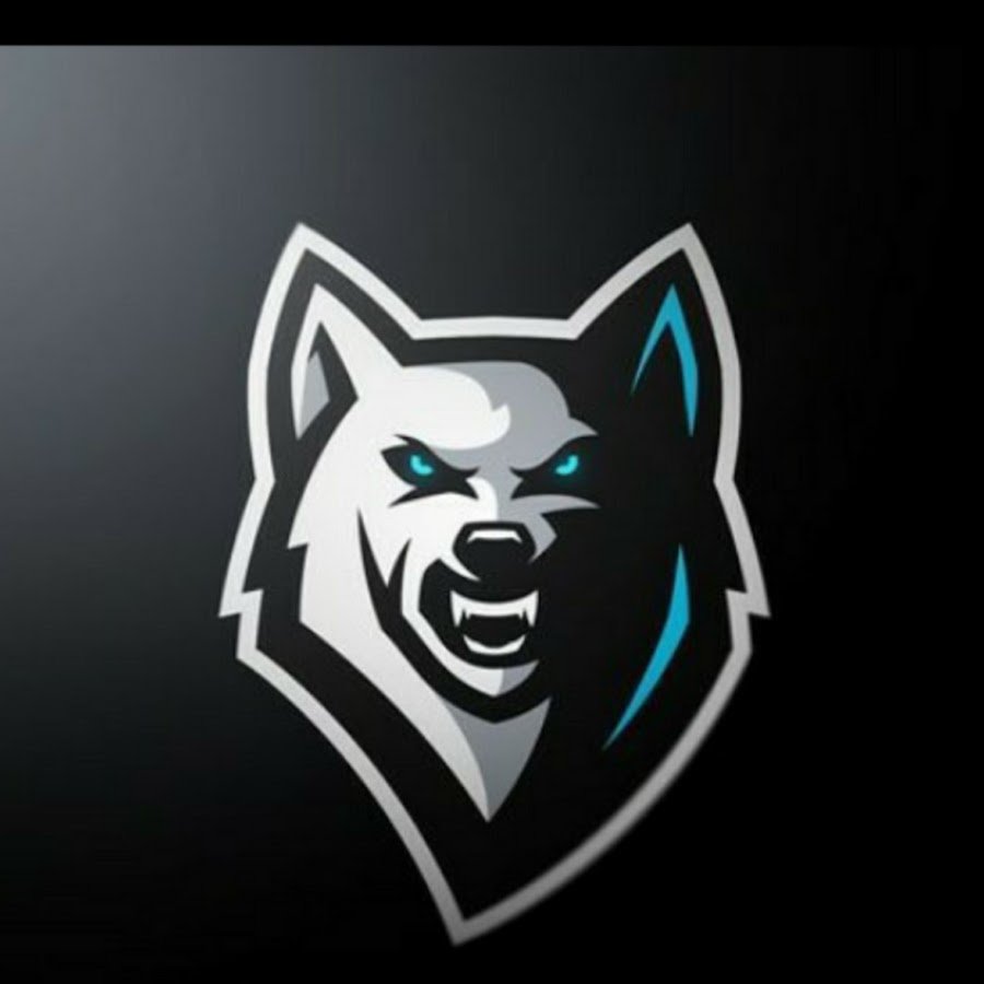 Команда тигры