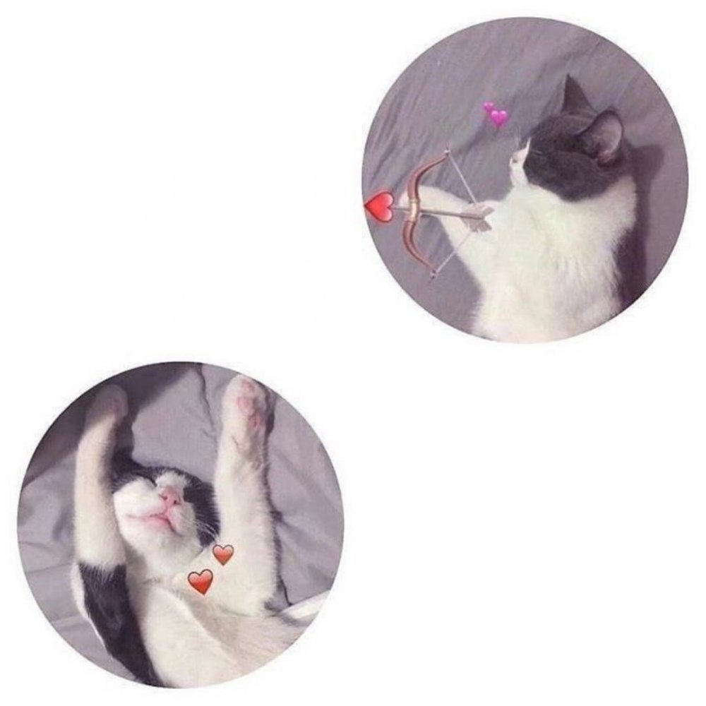 Эстетика дружбы парней