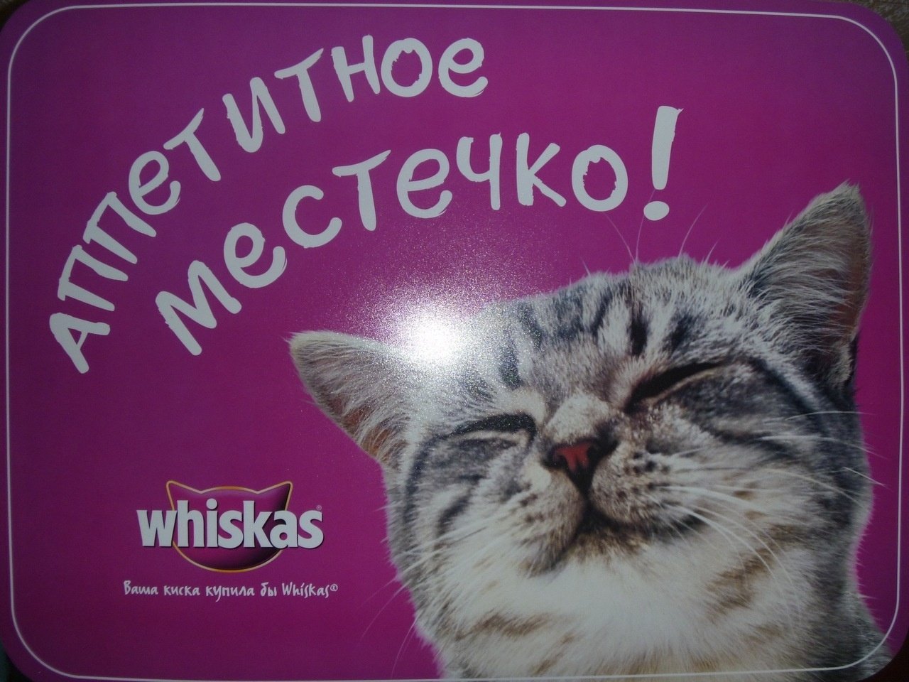 Включи вискас бессмертный. Реклама вискас. Реклама корма вискас. Реклама корма для кошек вискас. Вискас этикетка.