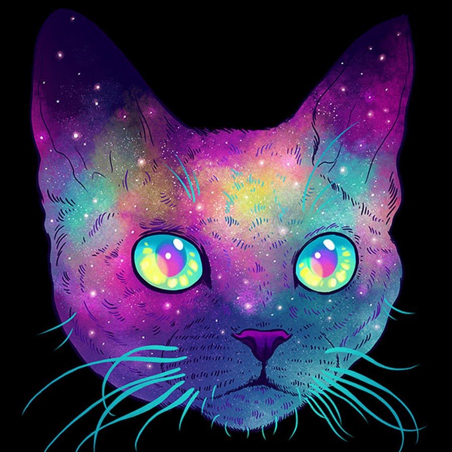 Котик в костюме Пикачу