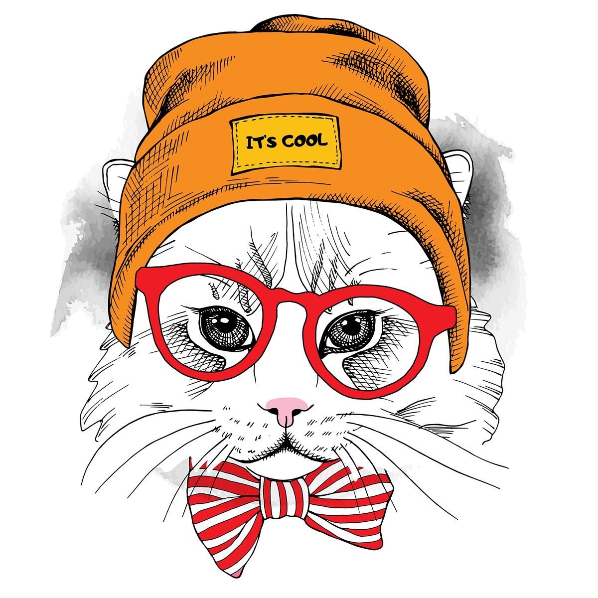 Кот в черных очках