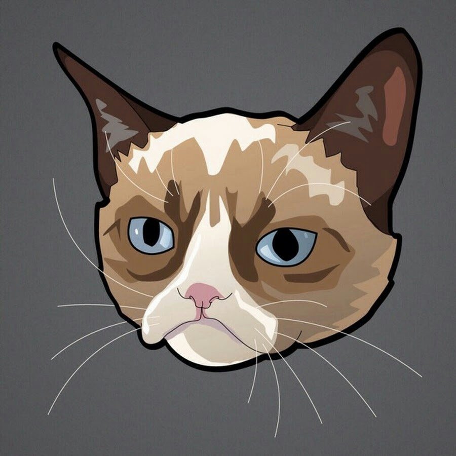 Кошки для стима