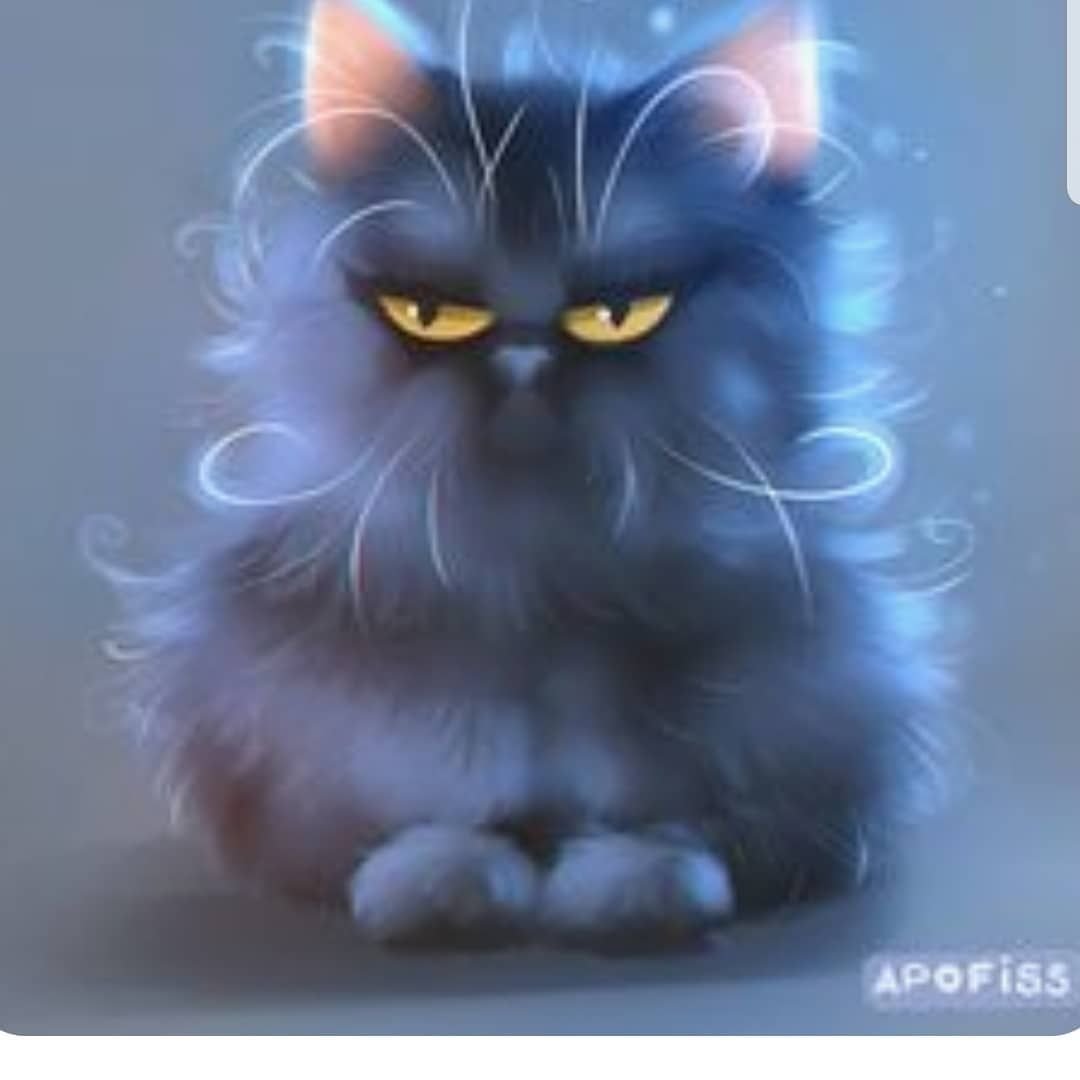 Милый котик рисунок