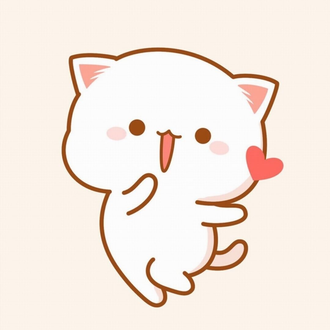 Кот с факом