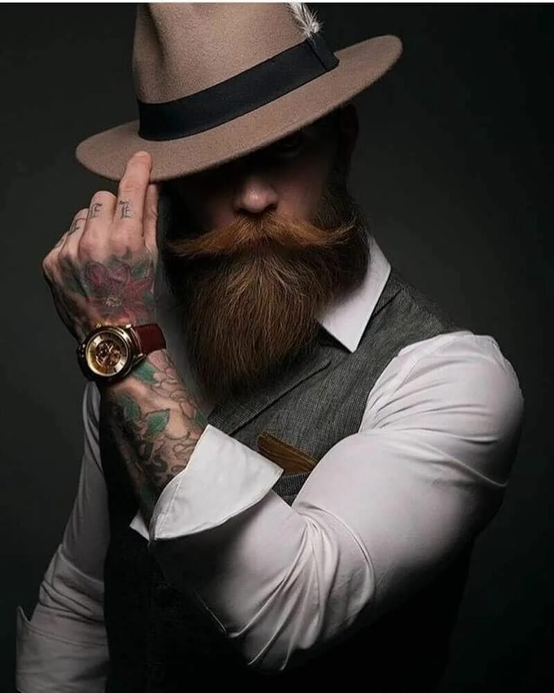 Синдикат блоггер