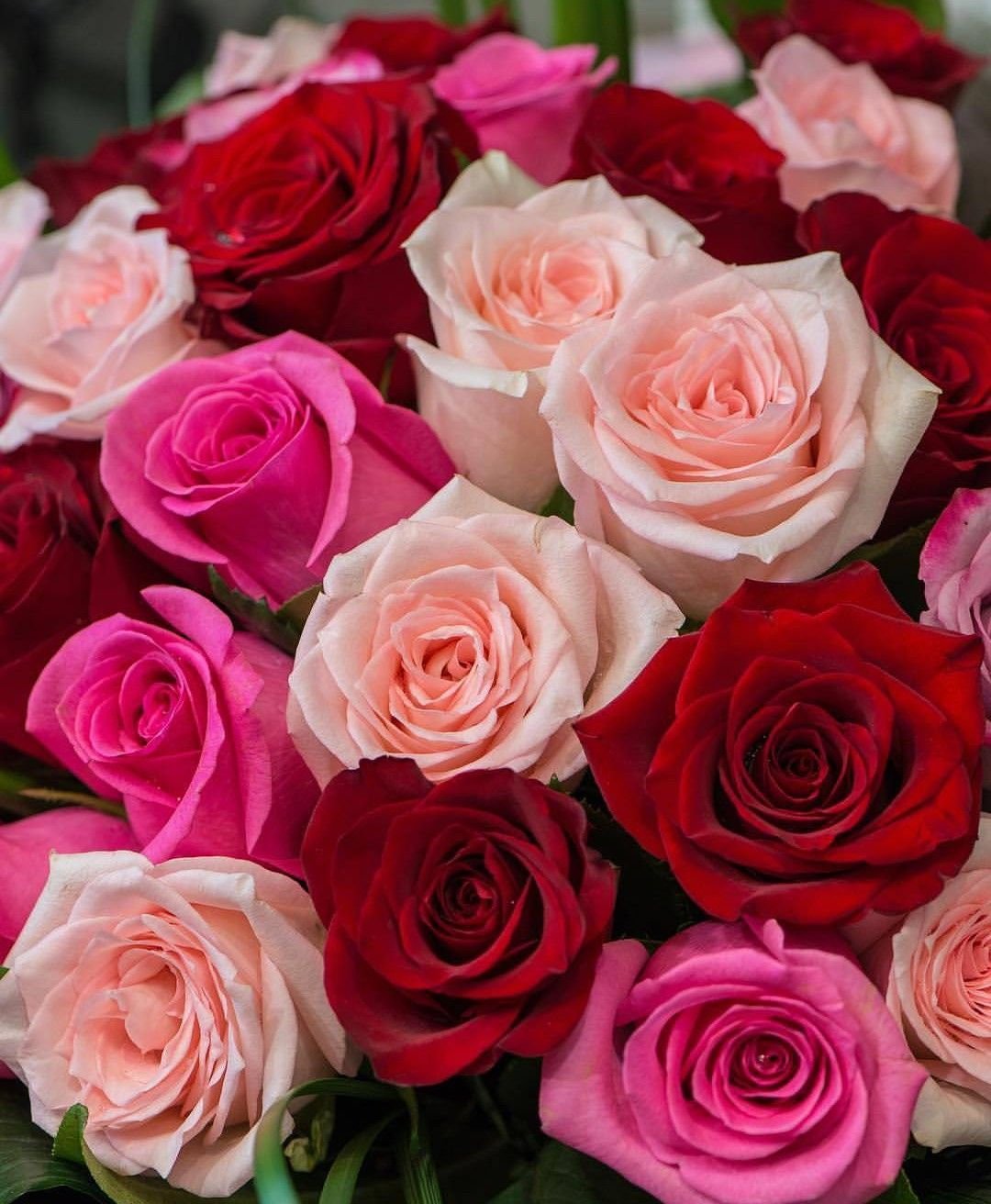 Красивые аватарки цветочки