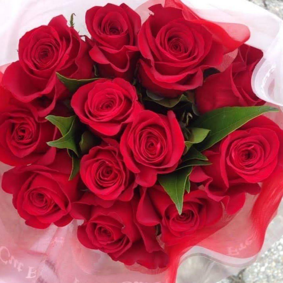 Красивые аватарки цветочки