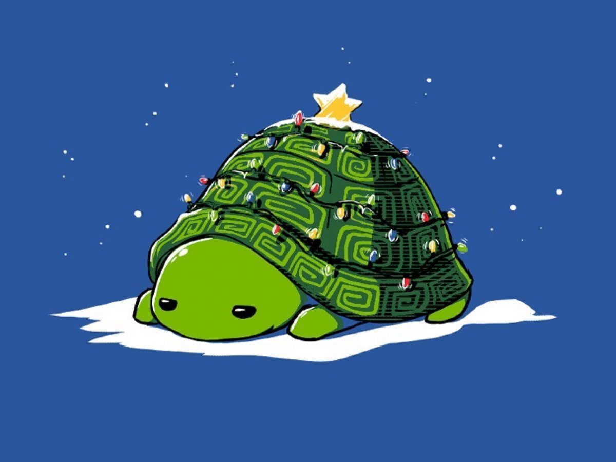 Черепашка аватарка. Новогодняя черепаха. Черепашка новый год. Черепаха с новым годом. Черепаха мультяшная.
