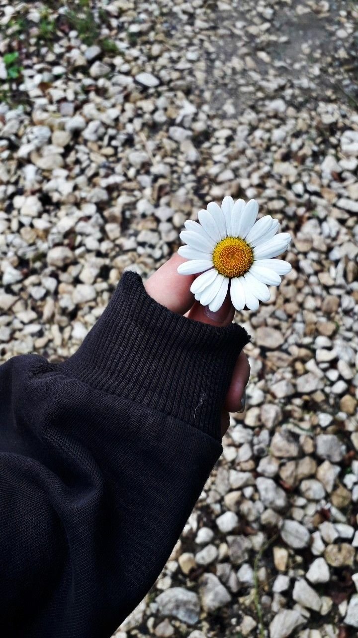 Пионы в руках у девушки