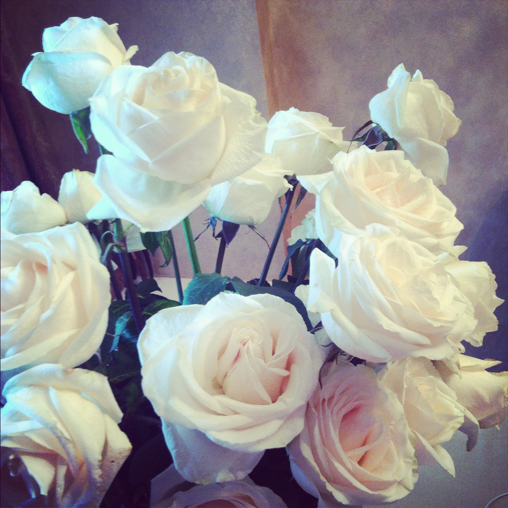 Пионы в руках