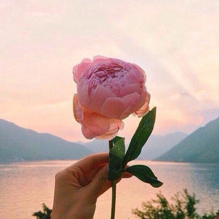 Красивые девушки для авы в инсте