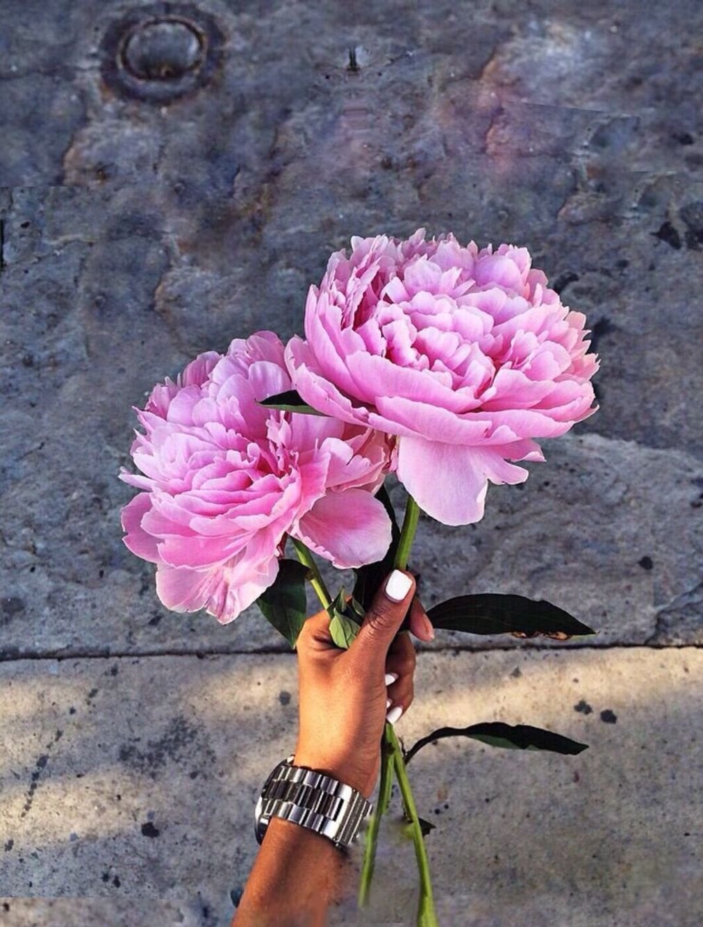 Лето Эстетика