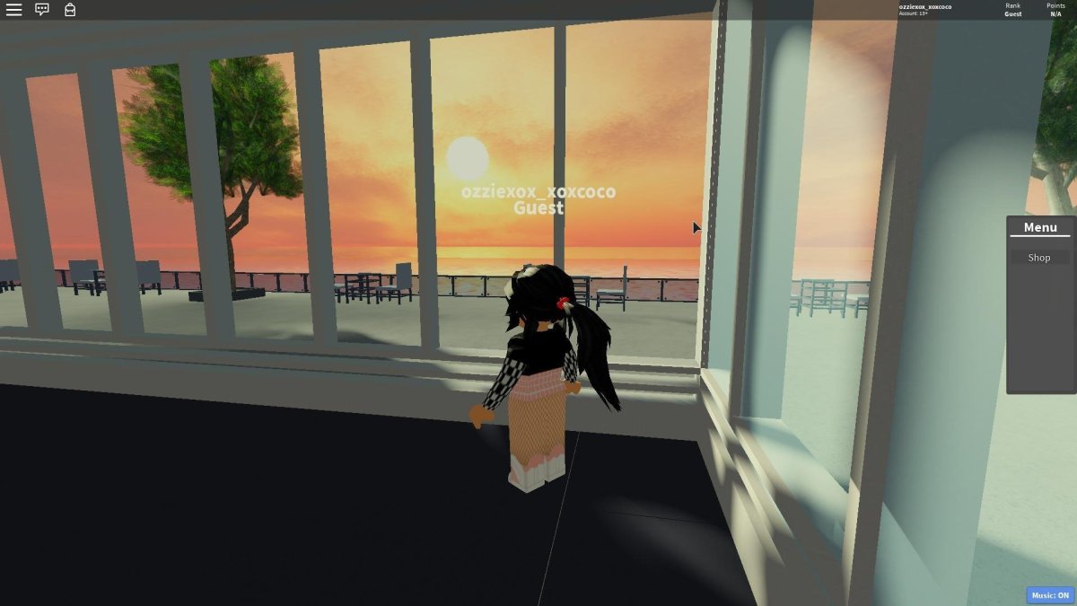 Скин кошки Ланы в РОБЛОКС 2022