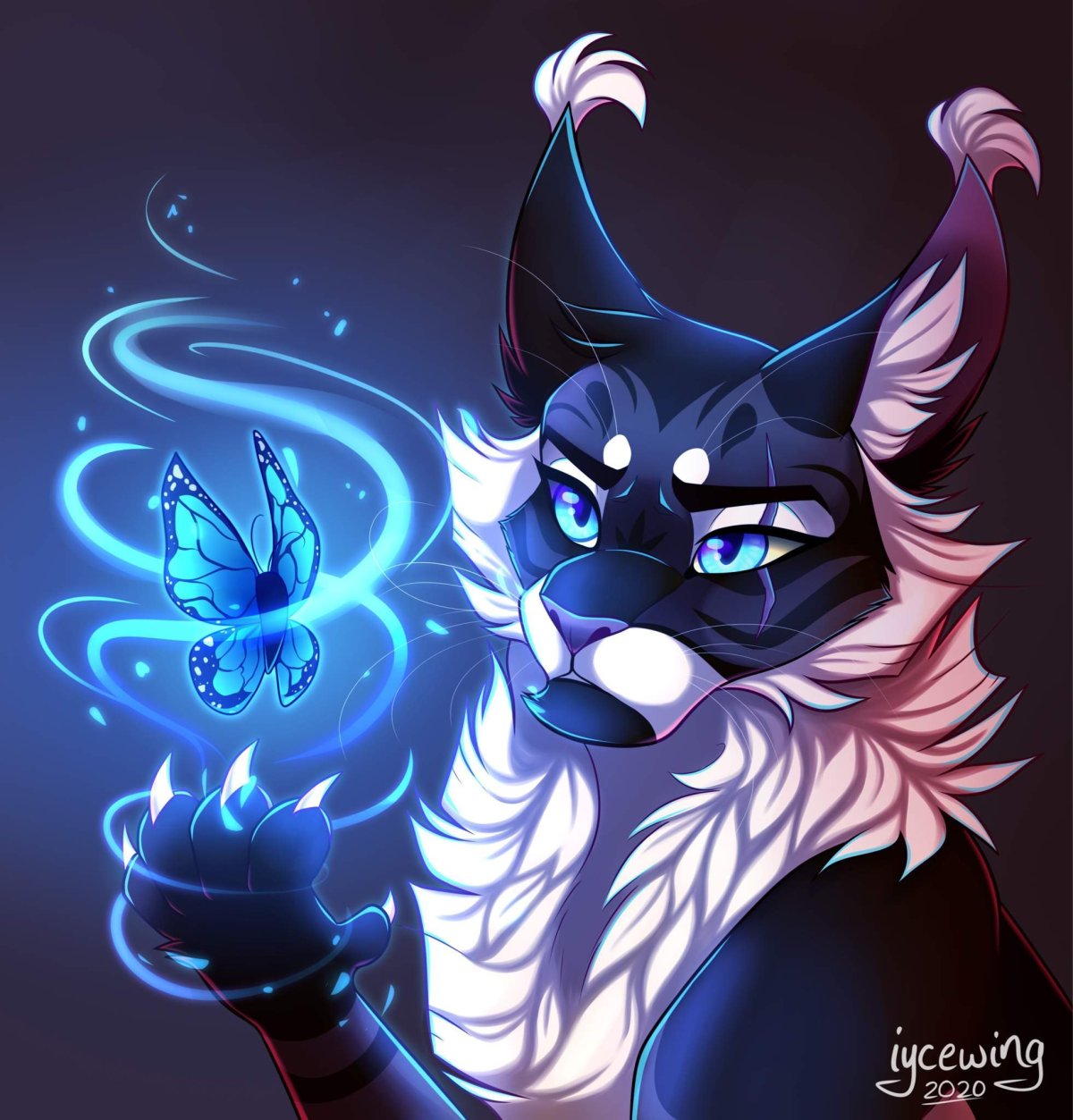 Супер котик