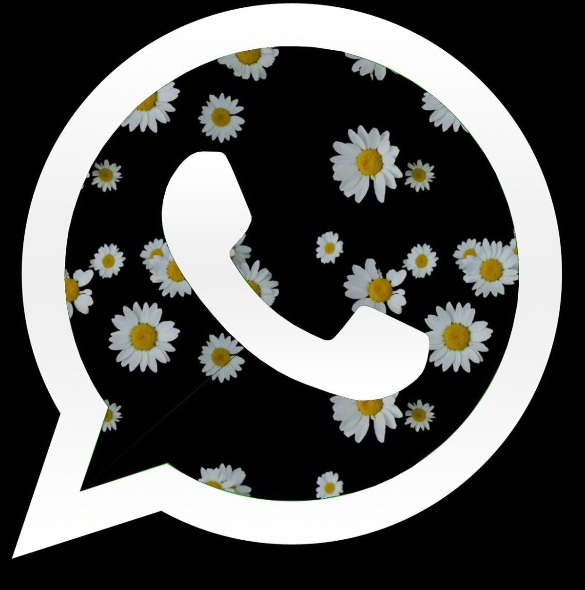 Мусульманка с фотоаппаратом