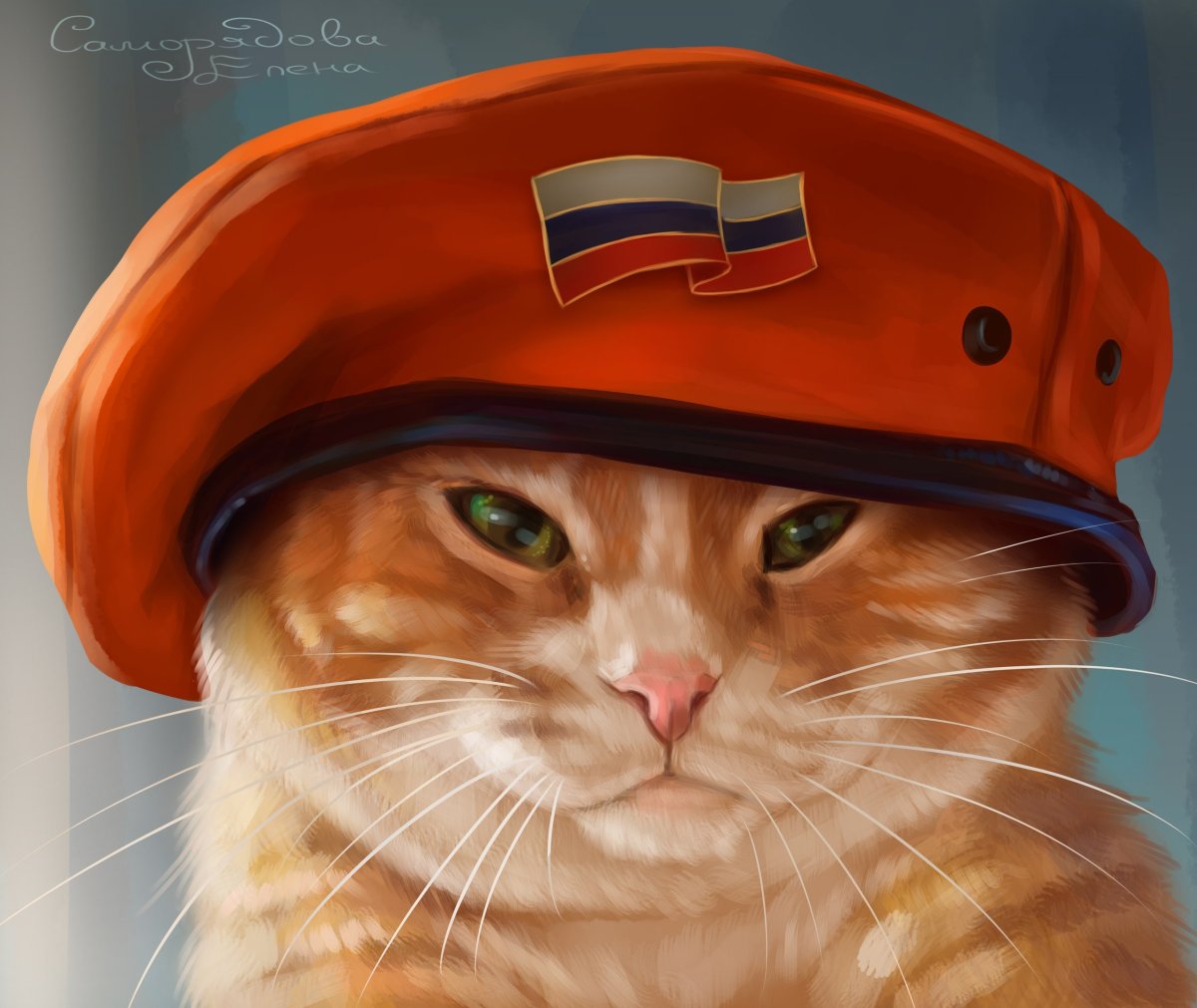 Котик в шлеме танкиста