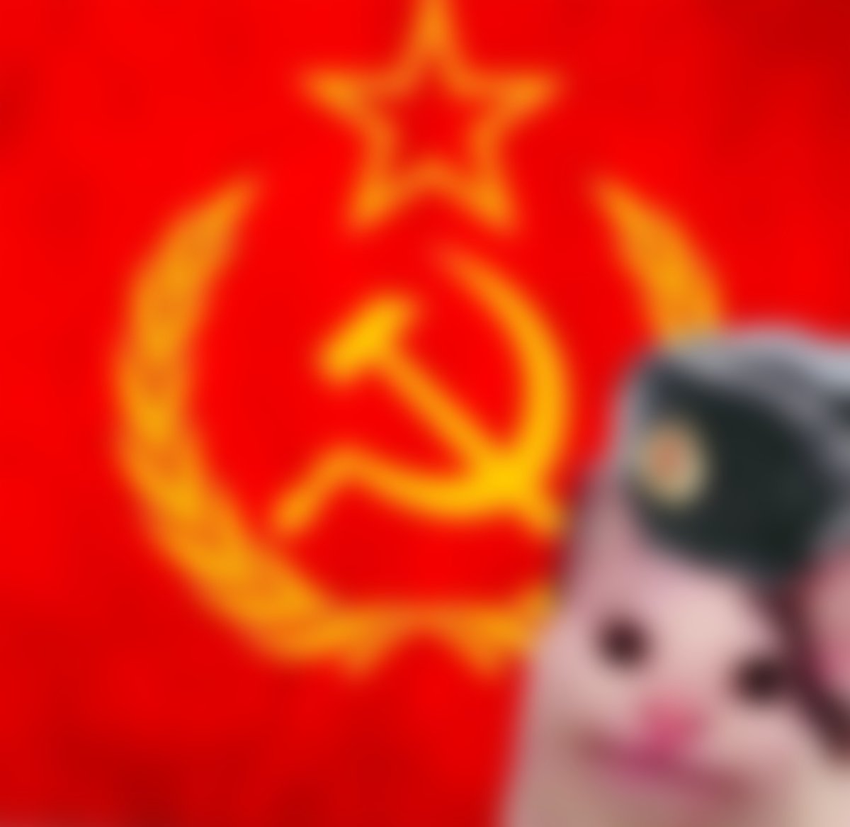 Собака СССР Мем