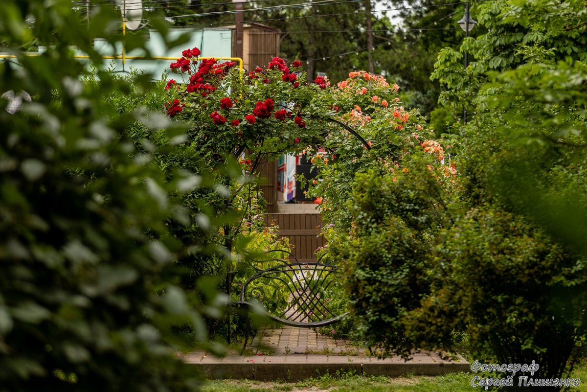 Южный федеральный университет педагогический институт