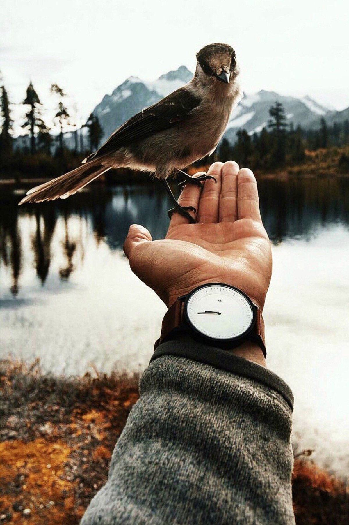 Аватарки для ватсапа со смыслом