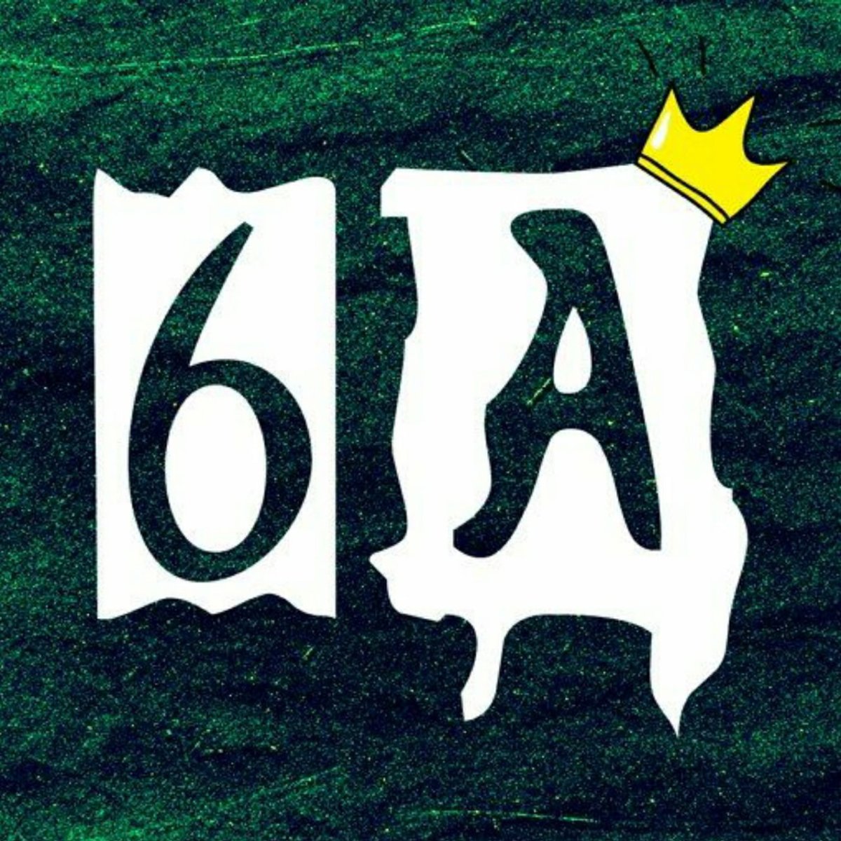 Котик в очках