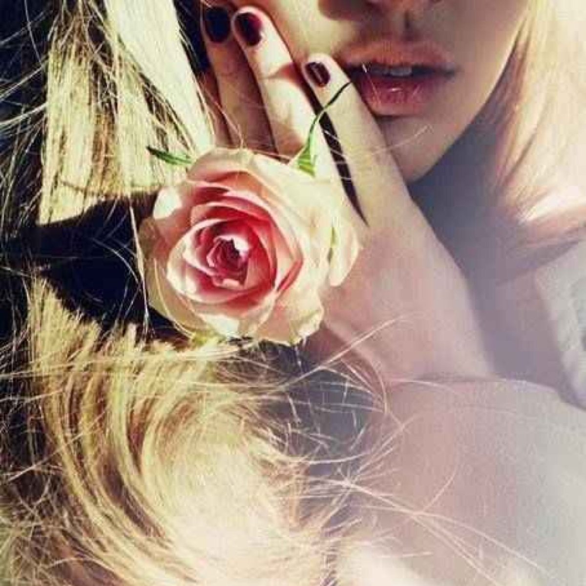 Красивая роза на аватарку