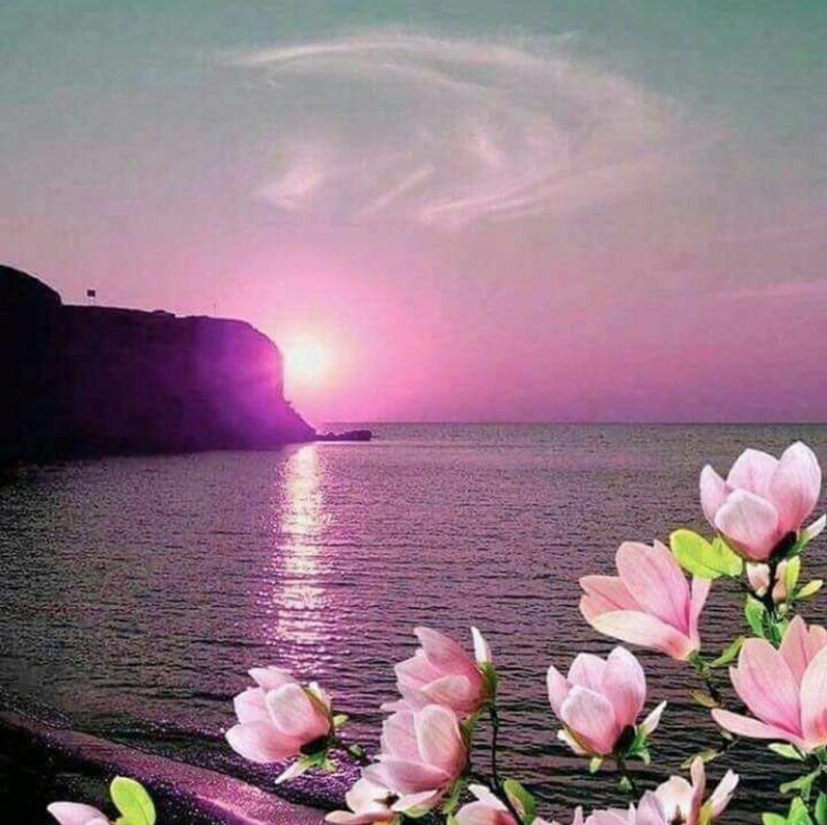 Крутые фото цветов