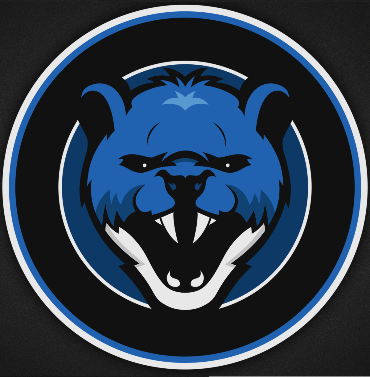 Топовые эмблемы