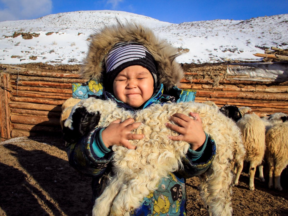 Монгун-Тайга на чабанской стоянке