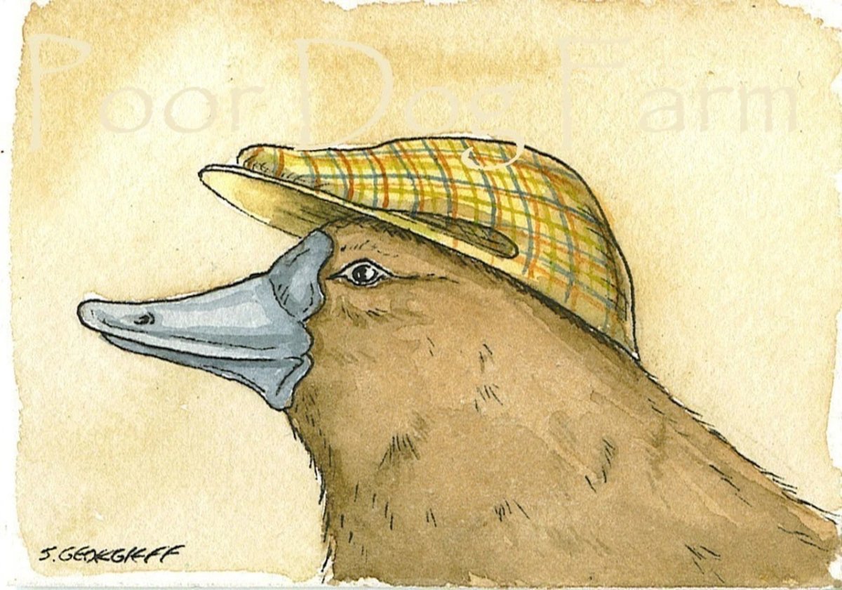 Утконос арт