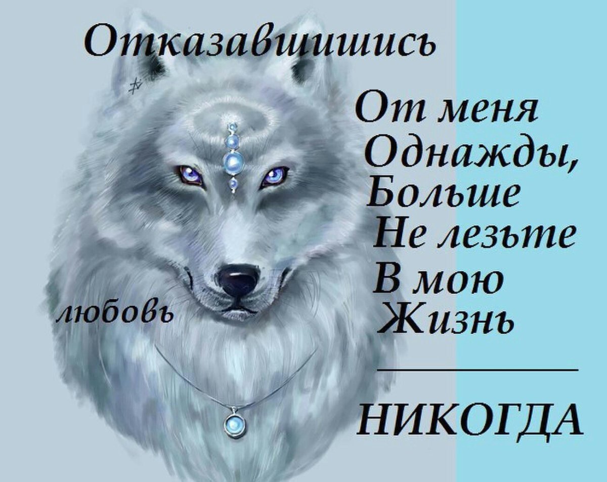 Булун-Терек Чаа-Хольский кожуун