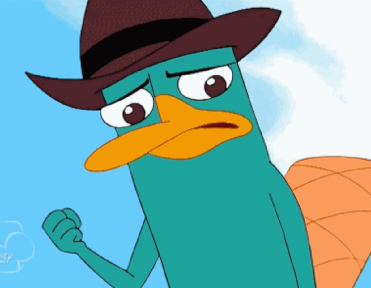 Утконос на белом фоне