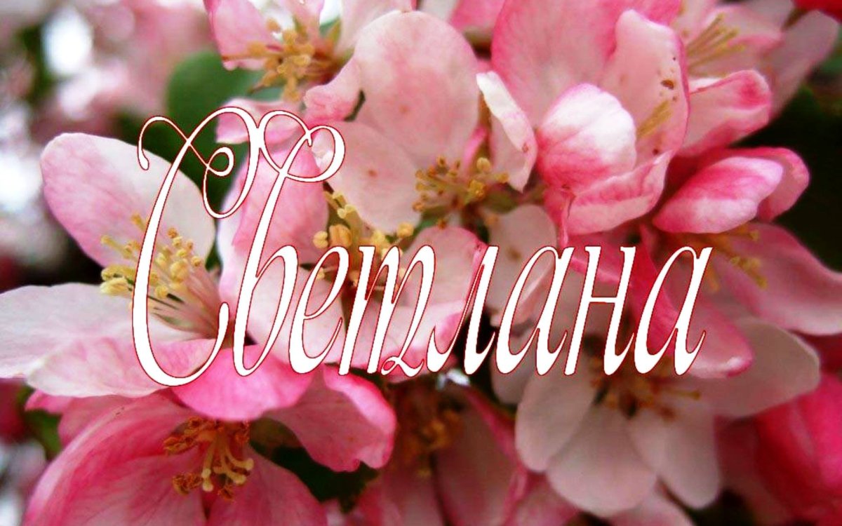 Надпись с именем света