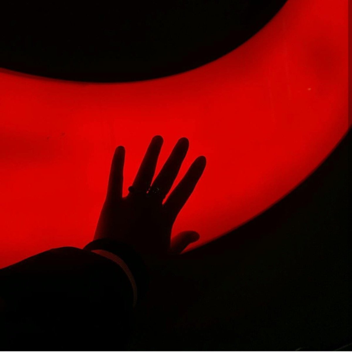 Художник Кароль бак Karol bak картины