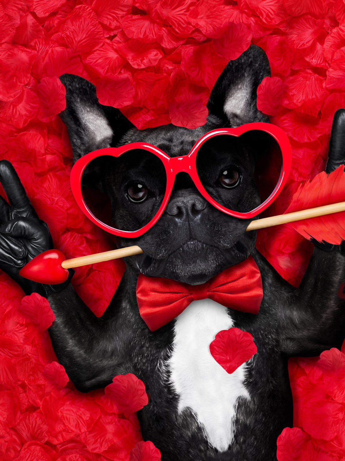 Цветы в волосах Эстетика