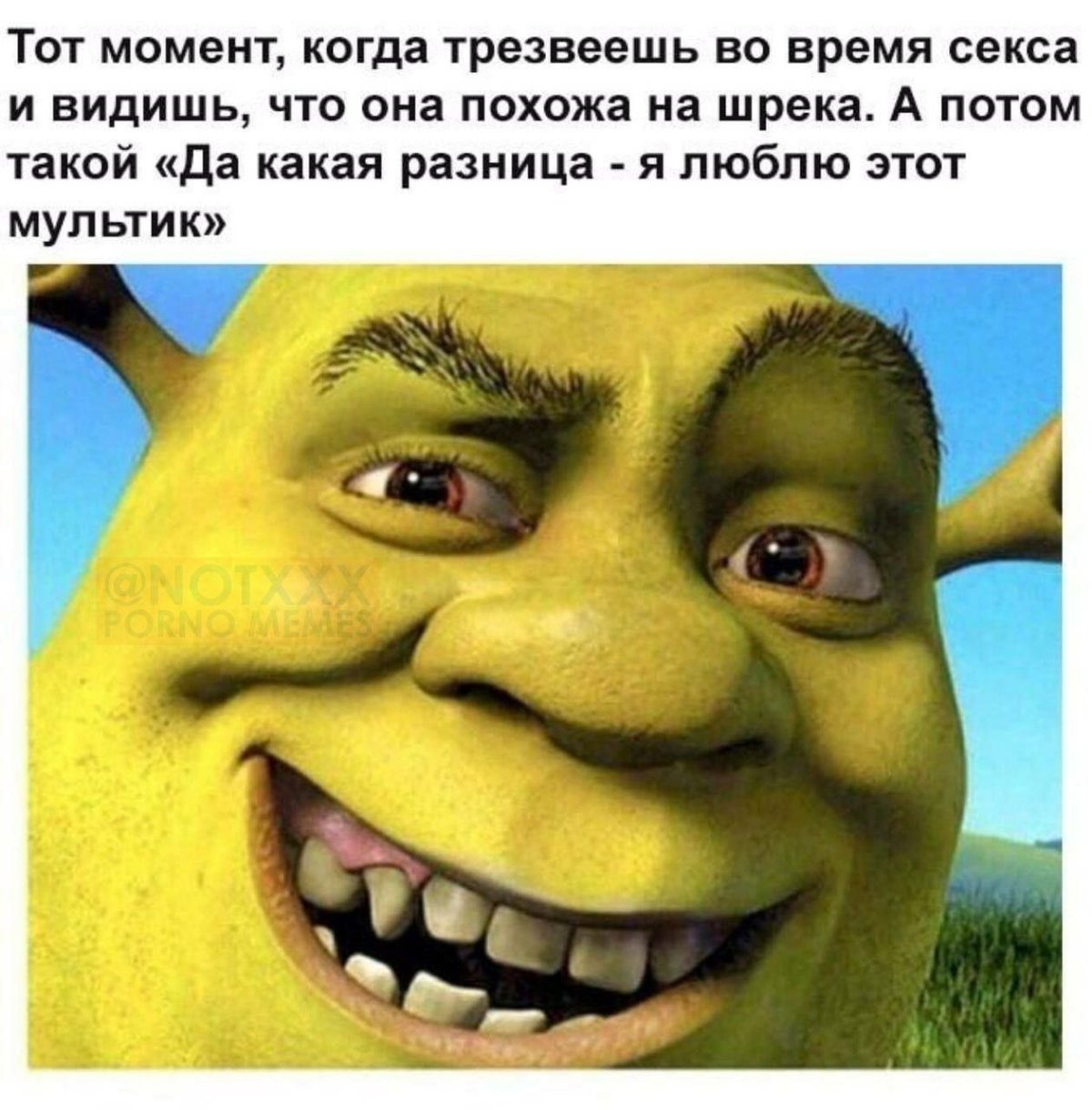 Удивленный Шрек Мем